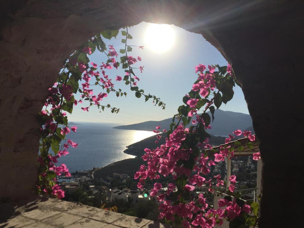 Villa Valo คัลคัน ภายนอก รูปภาพ