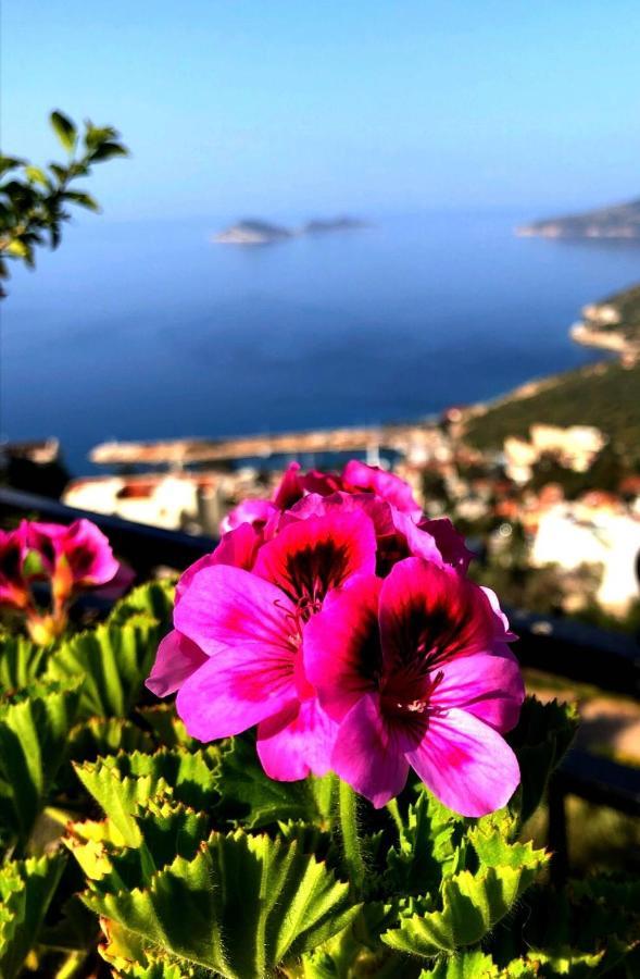 Villa Valo คัลคัน ภายนอก รูปภาพ